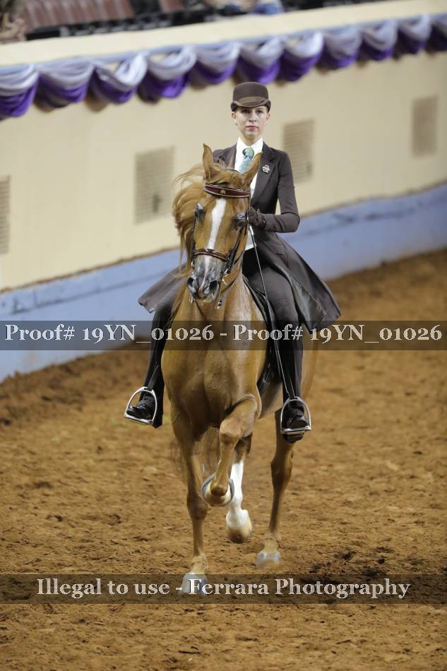 Proof 19YN_01026