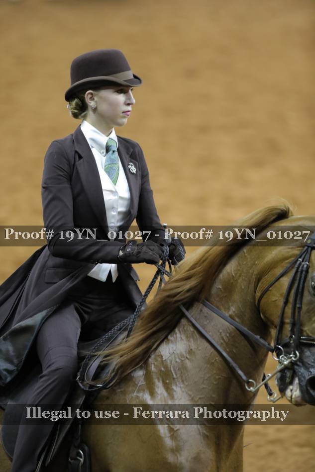 Proof 19YN_01027