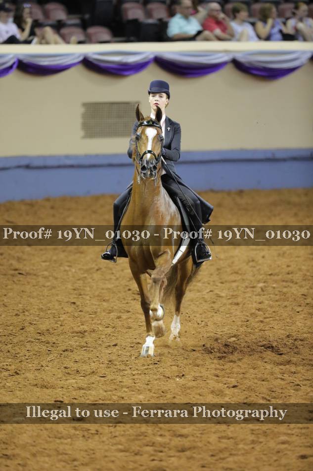 Proof 19YN_01030