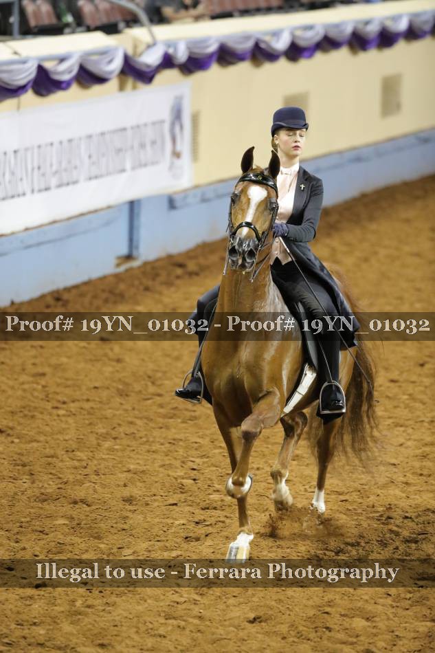 Proof 19YN_01032