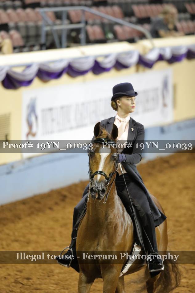 Proof 19YN_01033
