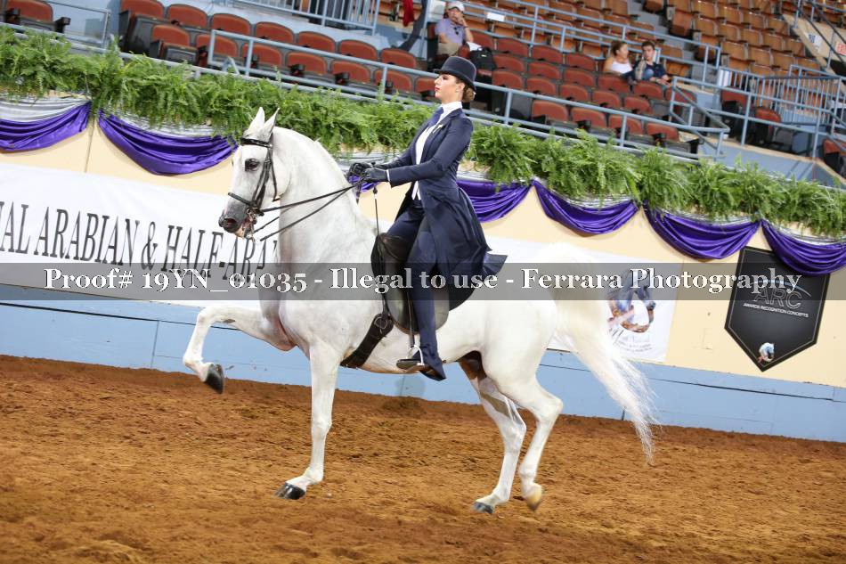 Proof 19YN_01035