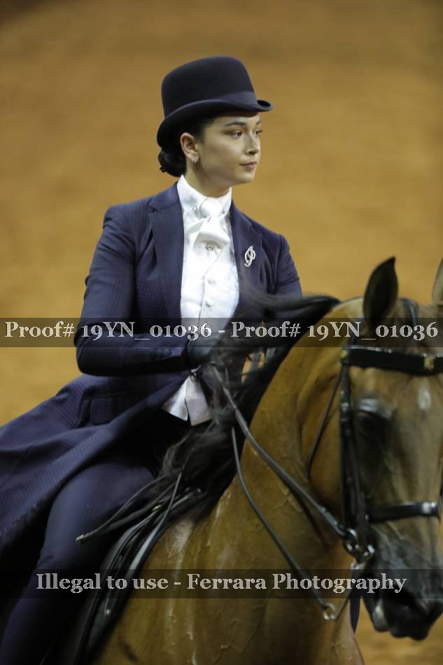 Proof 19YN_01036