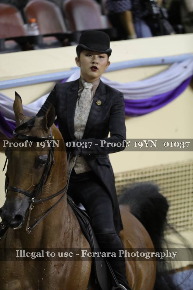 Proof 19YN_01037