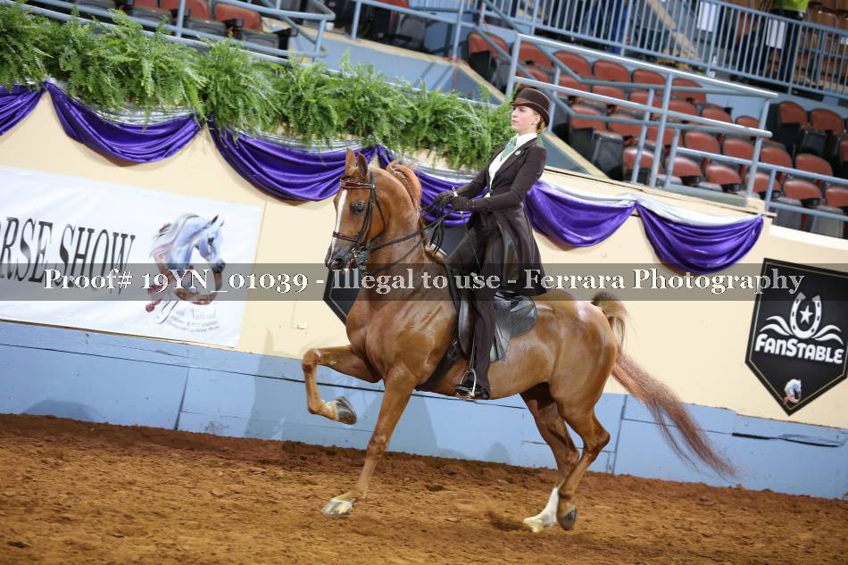 Proof 19YN_01039