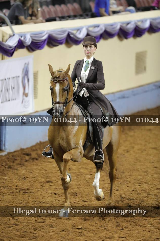 Proof 19YN_01044