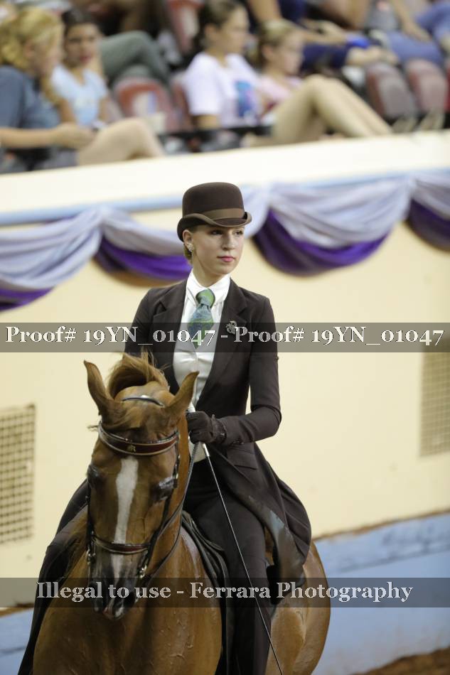 Proof 19YN_01047