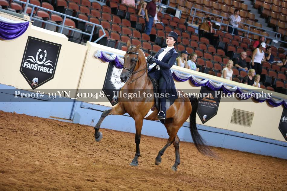 Proof 19YN_01048