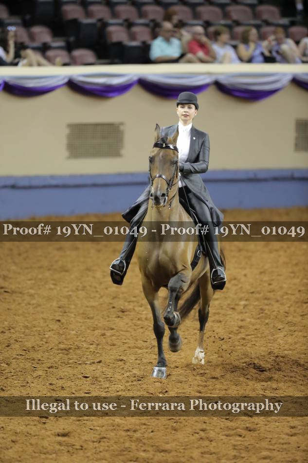 Proof 19YN_01049