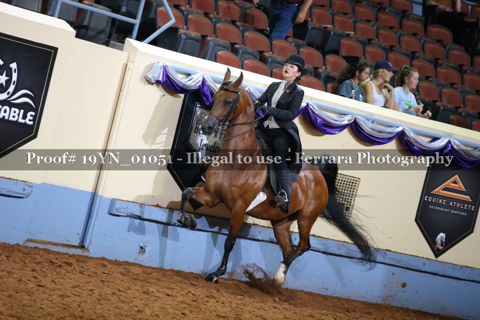 Proof 19YN_01051