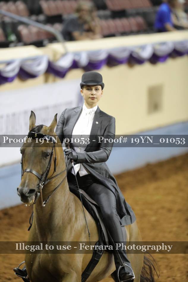 Proof 19YN_01053