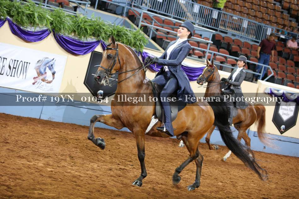 Proof 19YN_01054