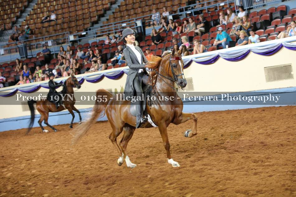 Proof 19YN_01055