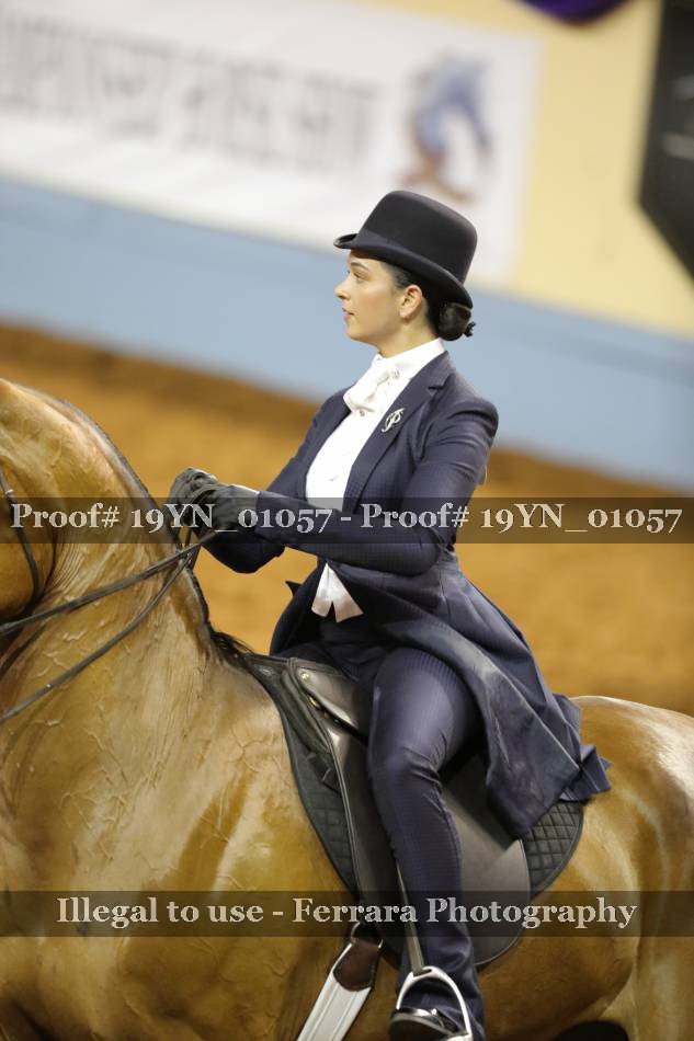 Proof 19YN_01057