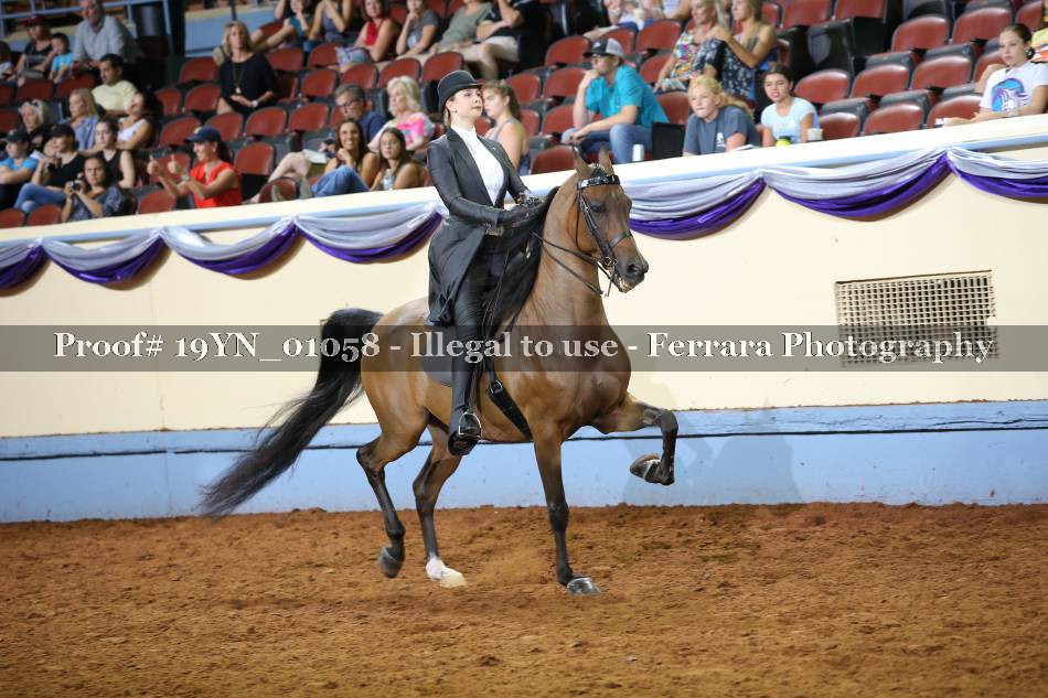 Proof 19YN_01058