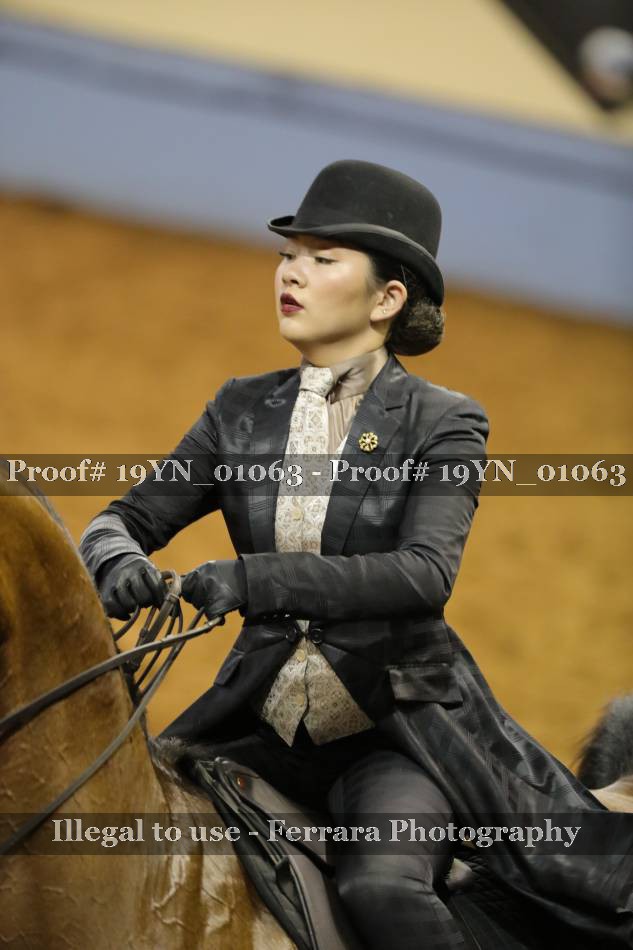 Proof 19YN_01063