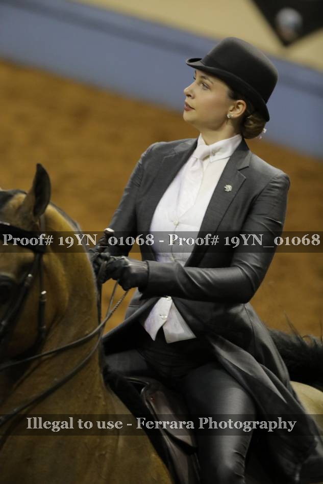 Proof 19YN_01068