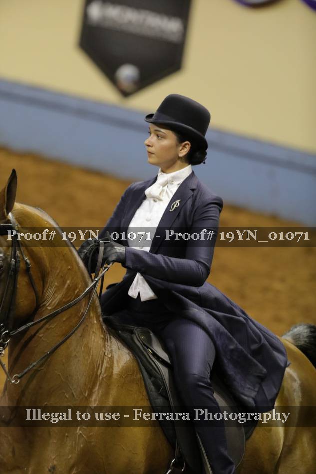 Proof 19YN_01071