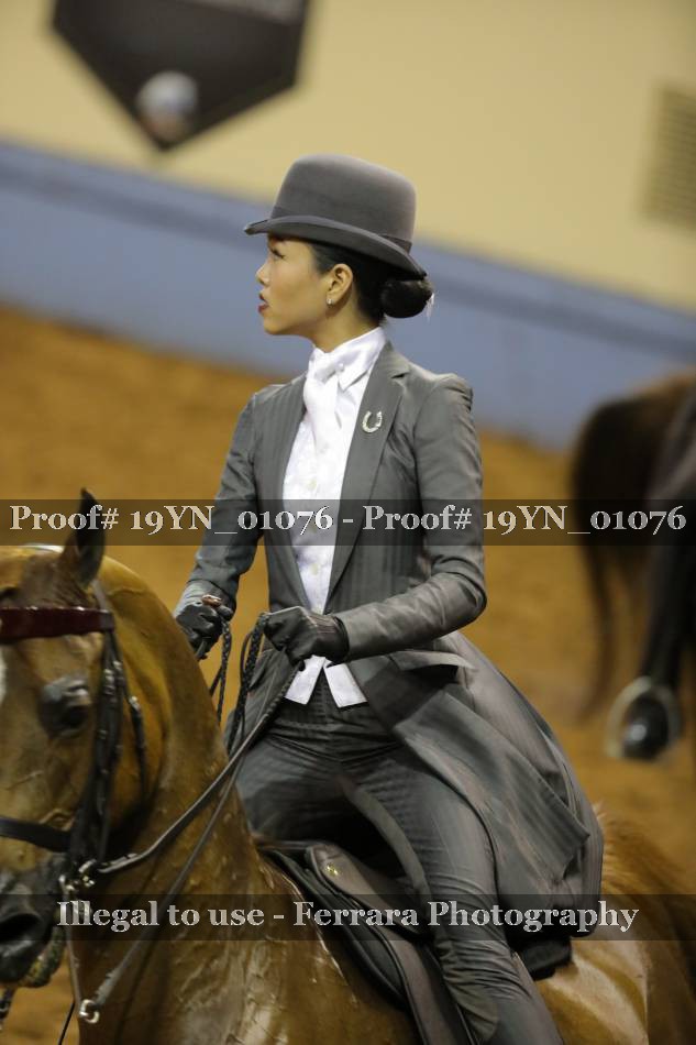 Proof 19YN_01076