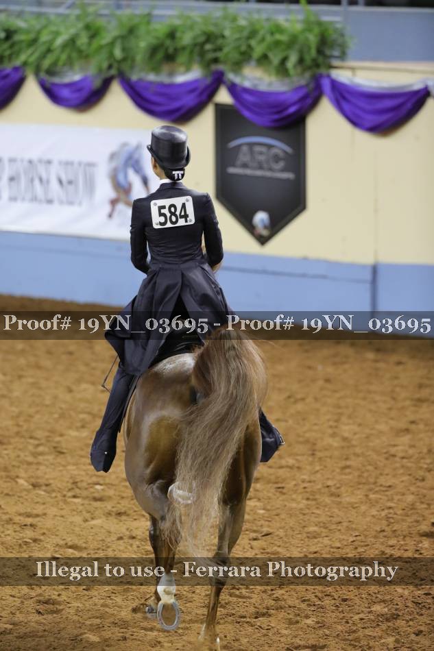 Proof 19YN_03695