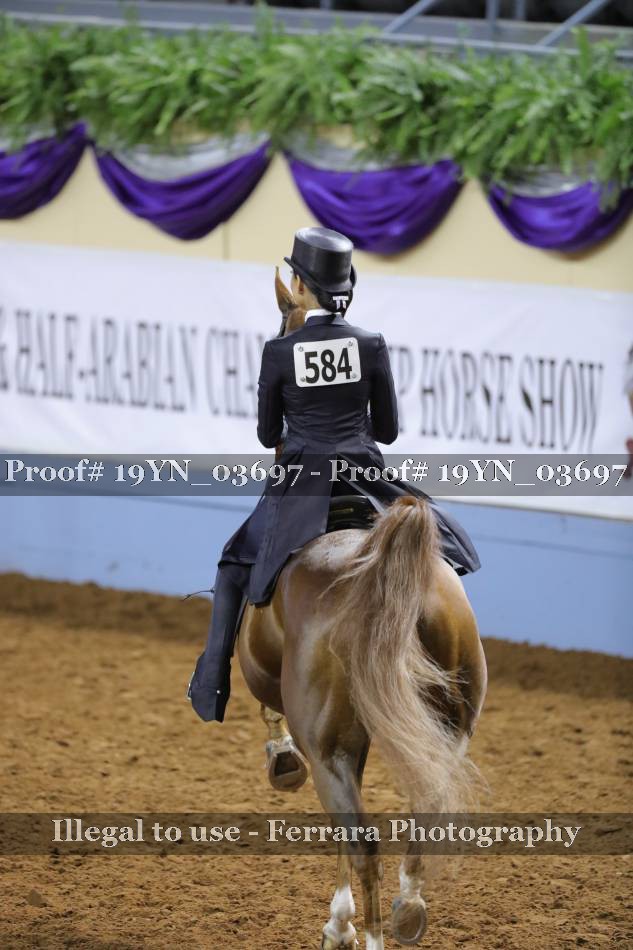 Proof 19YN_03697