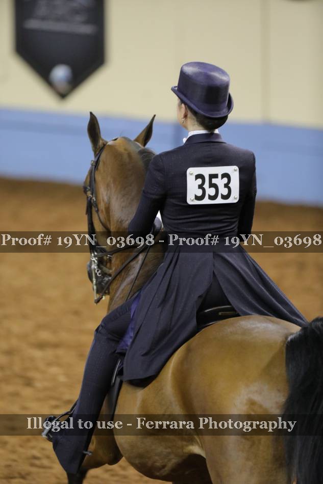 Proof 19YN_03698