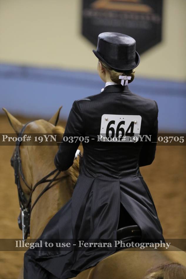 Proof 19YN_03705