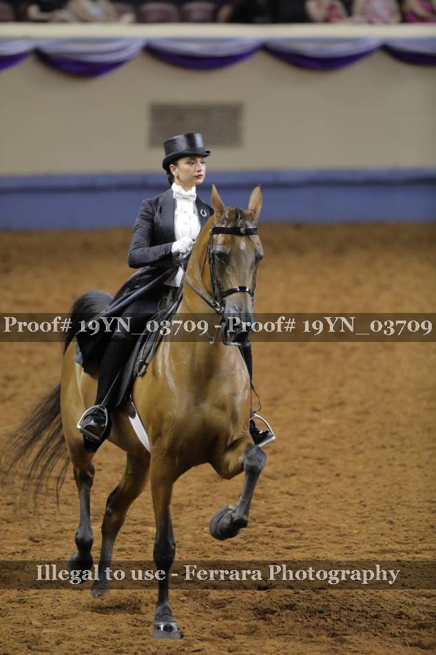 Proof 19YN_03709