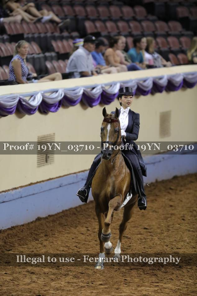 Proof 19YN_03710