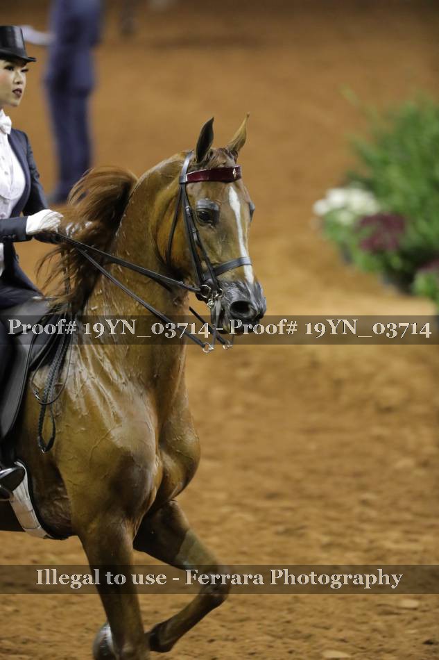 Proof 19YN_03714