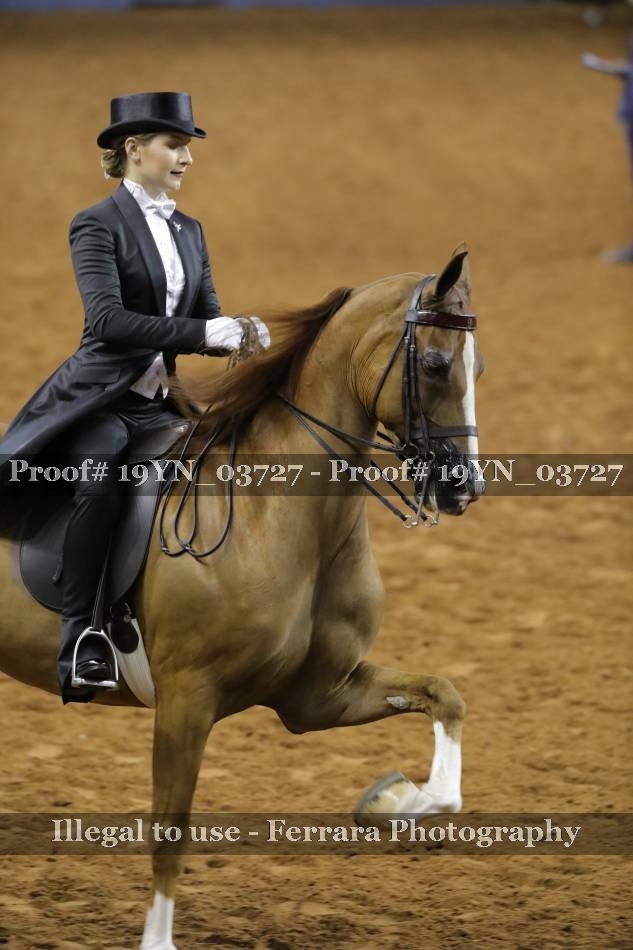 Proof 19YN_03727