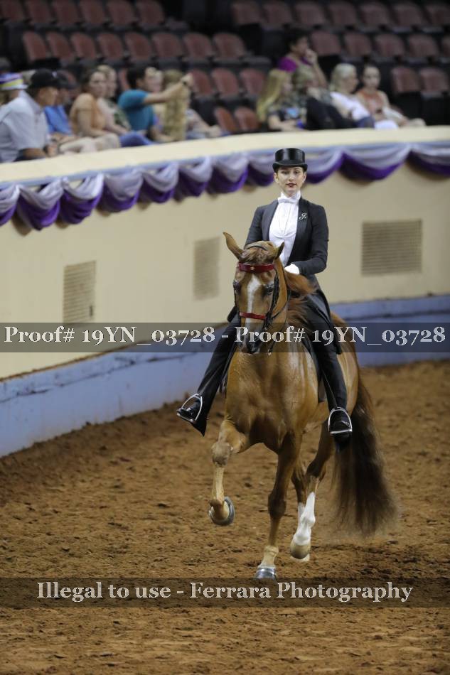 Proof 19YN_03728