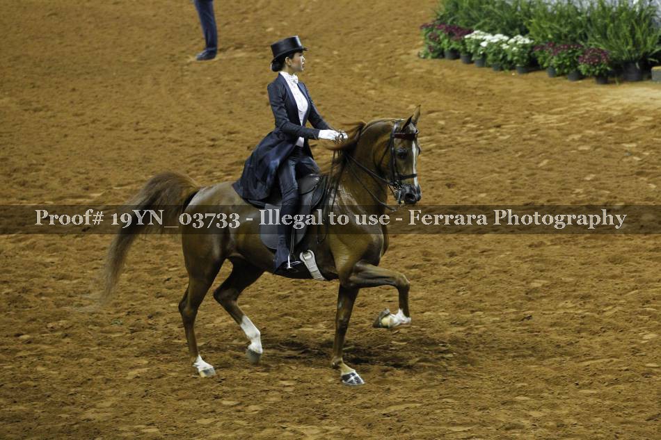 Proof 19YN_03733
