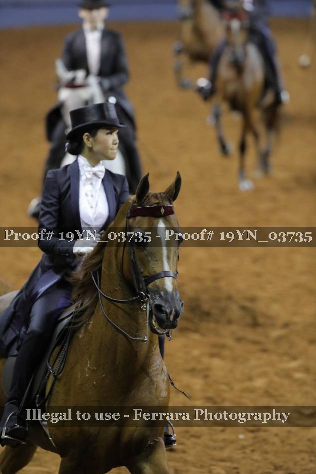 Proof 19YN_03735