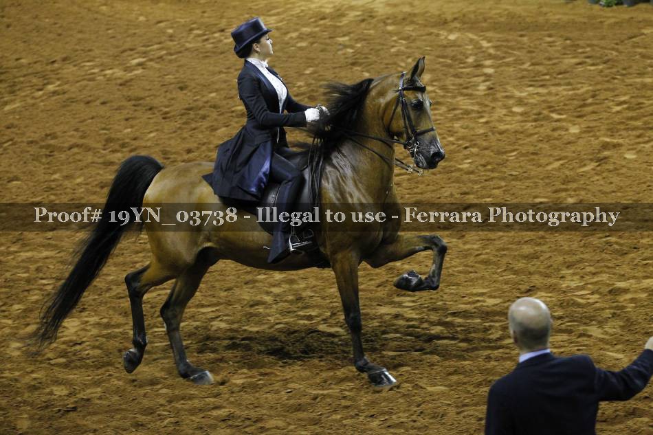 Proof 19YN_03738