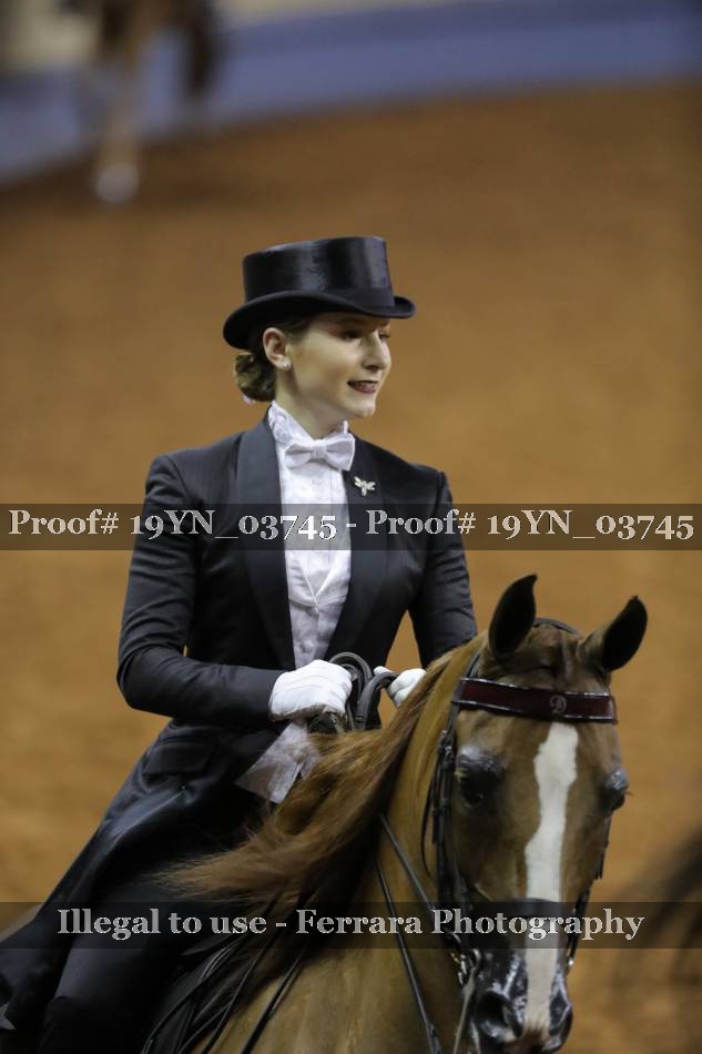 Proof 19YN_03745