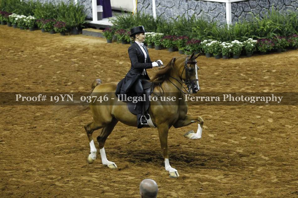 Proof 19YN_03746