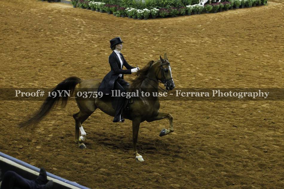 Proof 19YN_03759