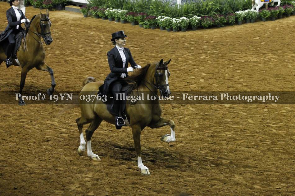 Proof 19YN_03763