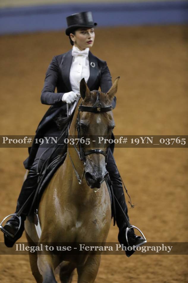 Proof 19YN_03765