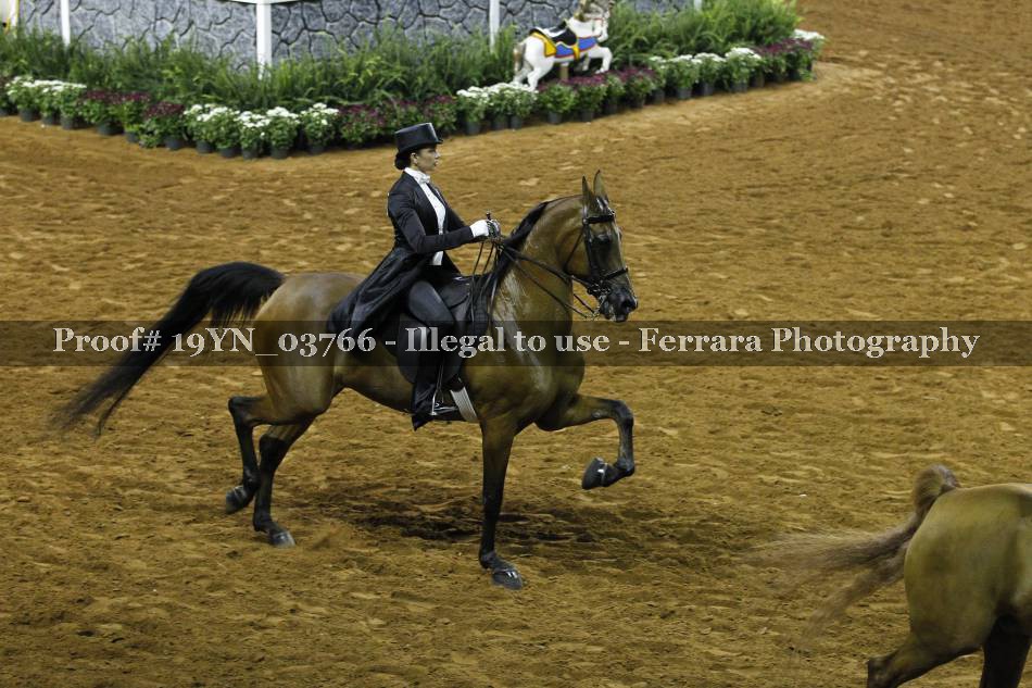 Proof 19YN_03766