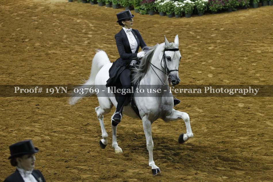 Proof 19YN_03769