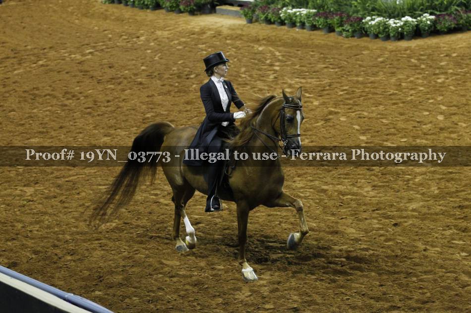 Proof 19YN_03773