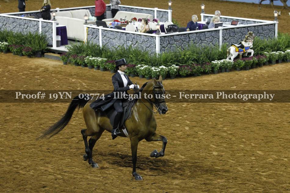Proof 19YN_03774