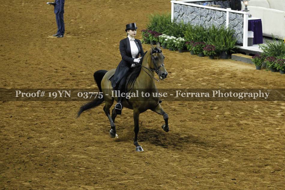 Proof 19YN_03775