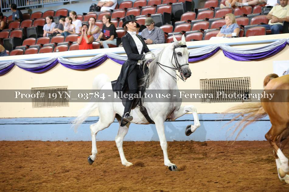 Proof 19YN_03784