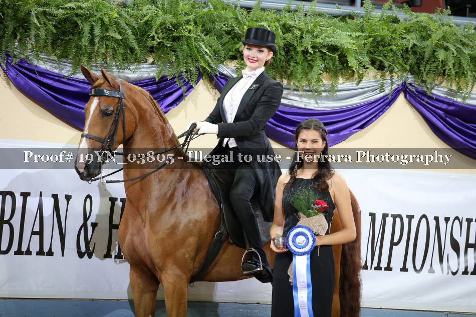 Proof 19YN_03805