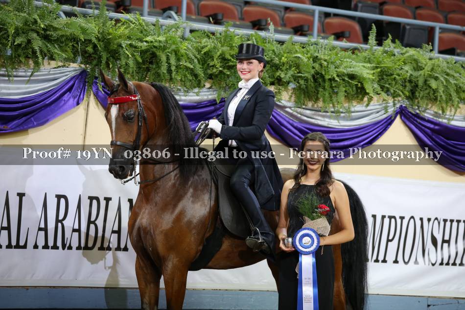 Proof 19YN_03806