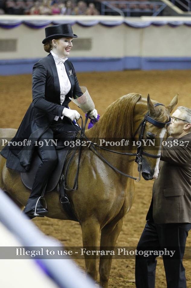 Proof 19YN_03827