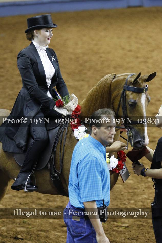 Proof 19YN_03831